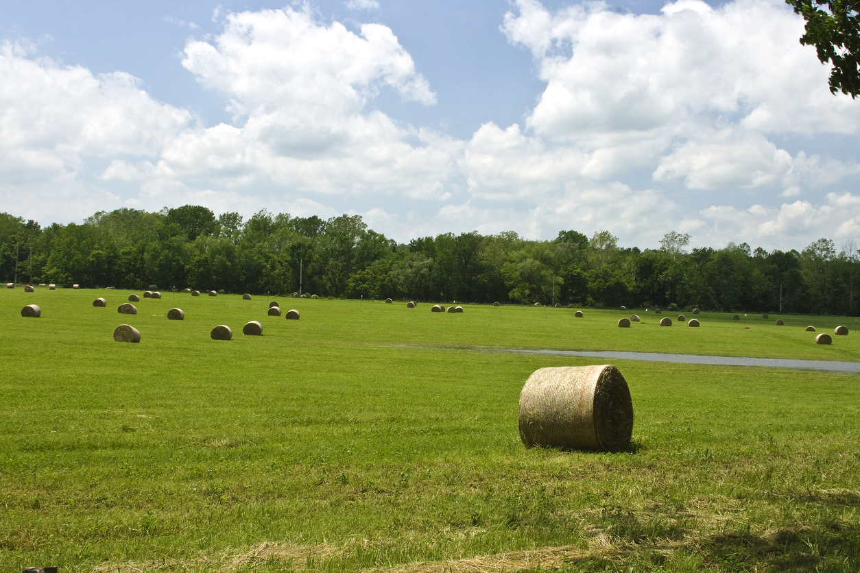 agriculture operation texas - rural land financing