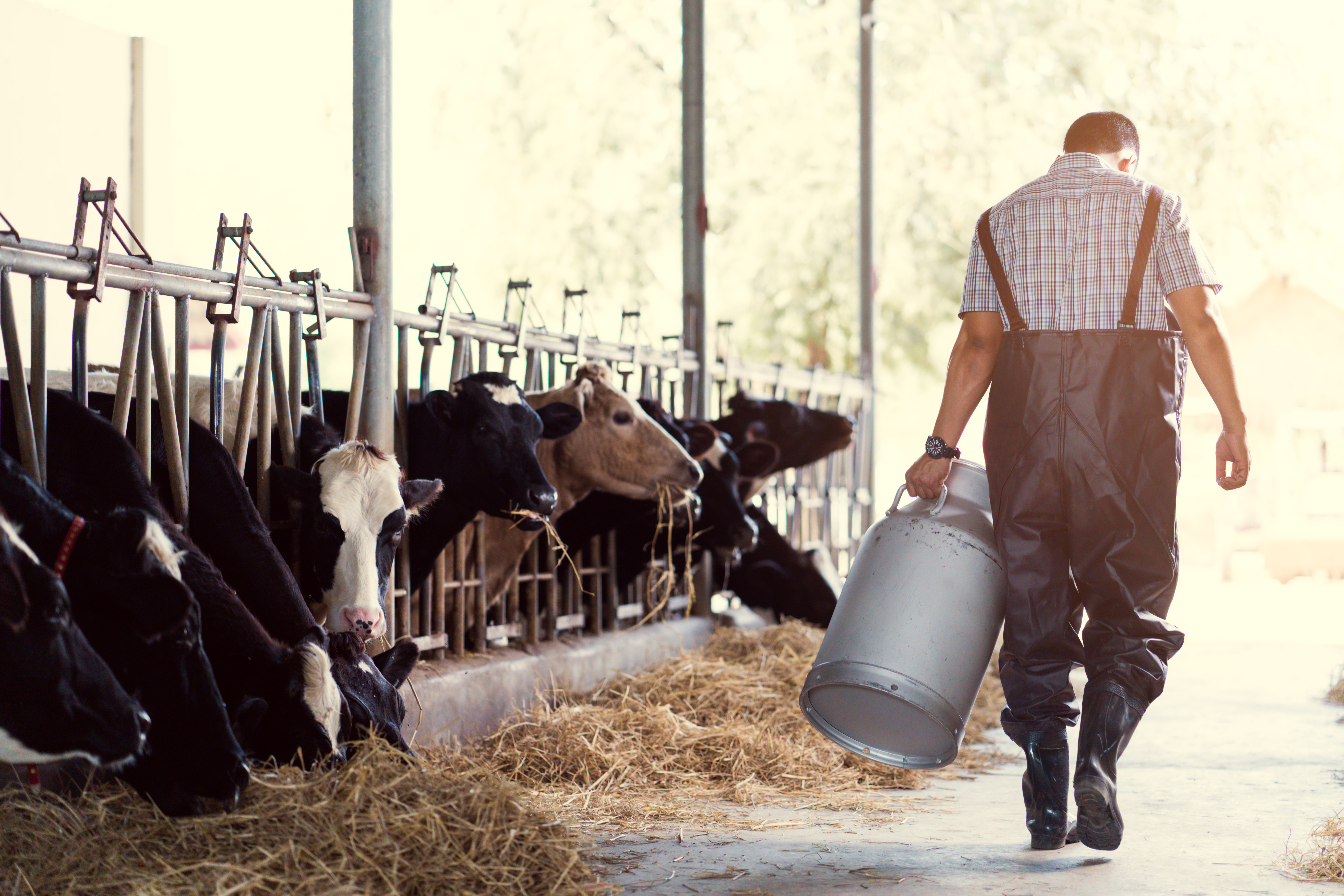 farm operations business growth