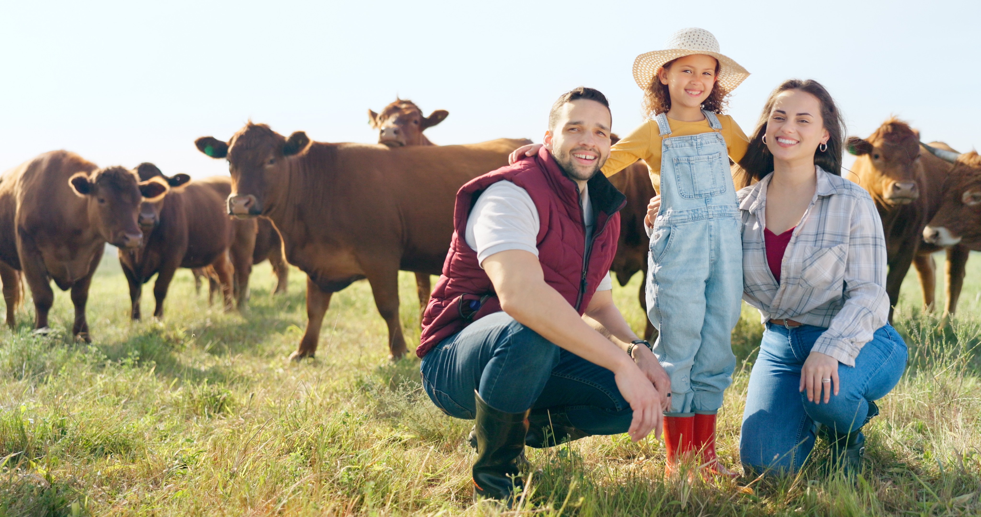 starting a small cattle farm