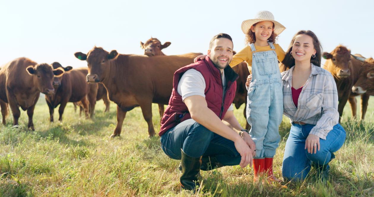 starting a small cattle farm