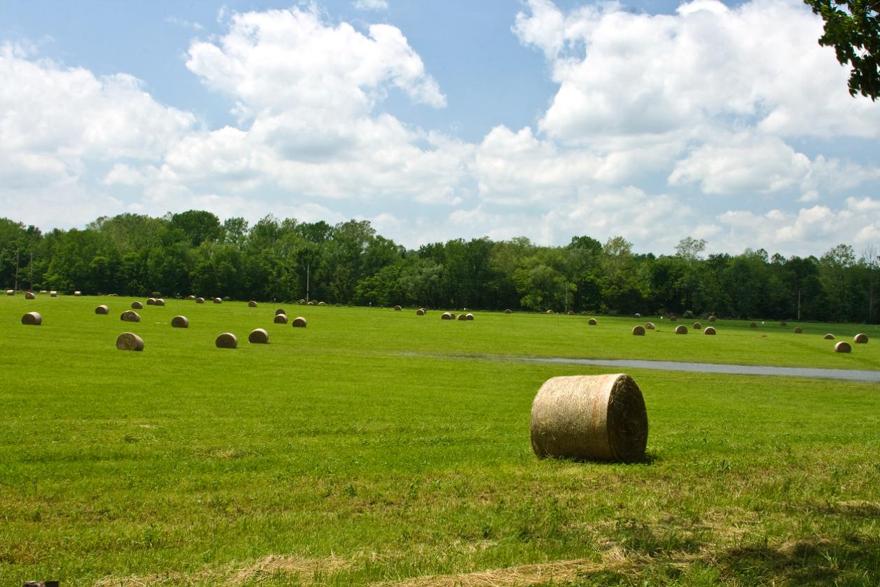agriculture operation texas - rural land financing